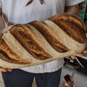 Whole Loaf of German Bread